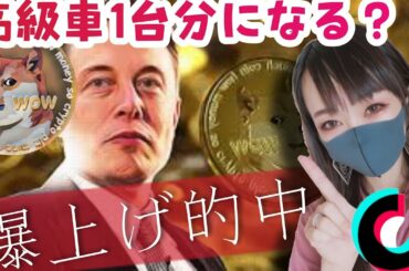 【DOGE,ADA的中】高級車1台分に？！ #Short