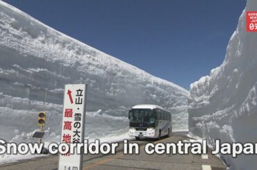 Famous snow corridor reopens in central Japan