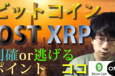 【仮想通貨ビットコイン，BCH,IOST,XRP,OMG】爆上げからの調整フェーズ！！利確or逃げるポイントはココ！