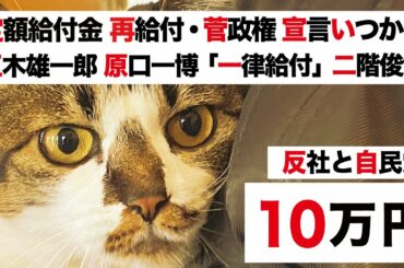 【特別定額給付金・菅政権 緊急事態宣言 3回目いつから】国民民主党 玉木雄一郎・立民 原口氏「10万円 一律給付」VS 二階幹事長 和歌山支部 政治団体「反社・給付金 詐欺」