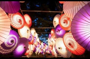 【山口百恵・中森明菜】おばちゃんが歌う　愛染橋＜歌詞付き＞