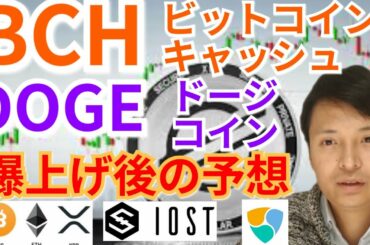 【仮想通貨BTC, ETH, XRP, BCH, IOST, XEM, DOGE】ビットコインキャッシュ＆ドージコイン爆上げ後の予想