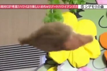 重盛さと美「あんッ」【めちゃイケ放送事故】