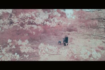 鋼の羽根 RADWIMPS MV