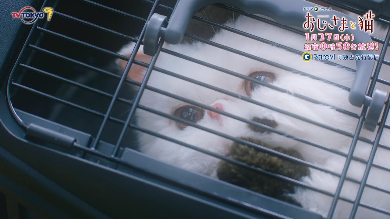 ドラマParavi おじさまと猫 第4話 ドラマParavi おじさまと猫 第4話