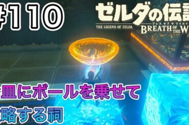 【#110】タダ・クスの祠、攻略!![ゼルダの伝説 ブレスオブザワイルド]