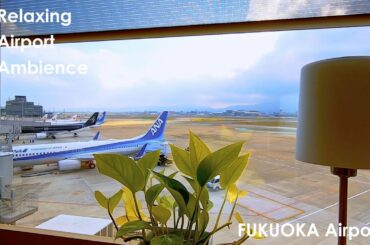 【環境音/ASMR】窓から眺める空港滑走路｜心地よいAirport Sound｜Fukuoka, Japan【話し声BGM/作業用】
