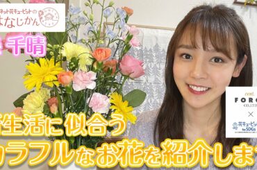 「新生活に似合うカラフルなお花を紹介します」花キューピットの“おはなじかん”｜セント・フォースタイアップ企画
