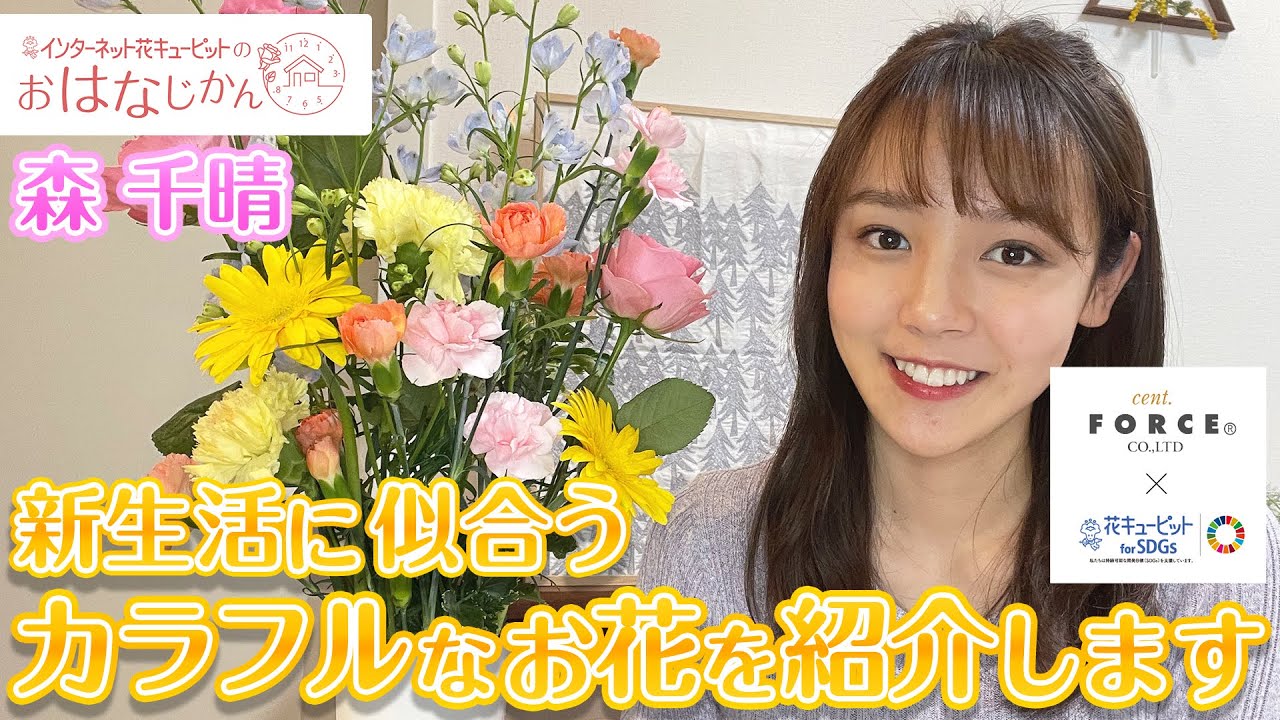 「新生活に似合うカラフルなお花を紹介します」花キューピットの“おはなじかん”|セント・フォースタイアップ企画 「新生活に似合うカラフルなお花を紹介します」花キューピットの“おはなじかん”|セント・フォースタイアップ企画