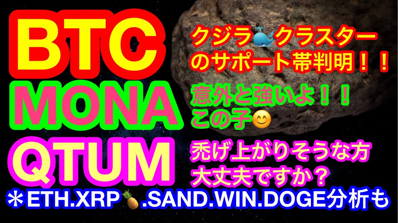 【仮想通貨 BTC.ETH.SAND.MONA.QTUM.WIN.XRP.DOGE】ビットコインのクジラ🐳様の意識されてるライン判明❗️DOGEコインがまた決済採用😊USAはやはり意識が違う😅