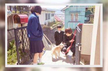 ✅  映画『さくら』が、11月13日（金）に公開される。これに先駆けて、北村匠海と小松菜奈、愛犬サクラを演じたちえによる特別インタビュー映像が公開された。 原作は累計60万部を突破する直木賞作家・西加