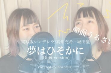 【夢はひそかに(Duet version)】顔面うるさい / 実写版シンデレラ / 高畑充希・城田優 / 一人二役で歌ってみた。ノゾミックス。
