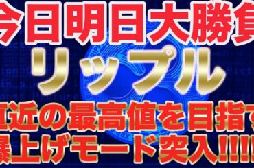 【リップル大勝負】今の間に稼ぐ、2022年には仮想通貨崩壊!?!?