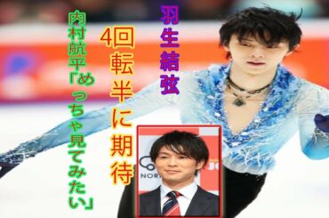内村航平「めっちゃ見てみたい」羽生結弦の4回転半に期待