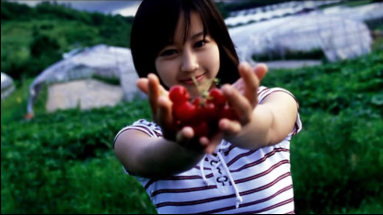 【堀北真希　想い出のなか】　piano ver