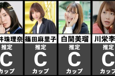 AKB48メンバー巨乳・おっぱい総選挙【ランキング】【比較】