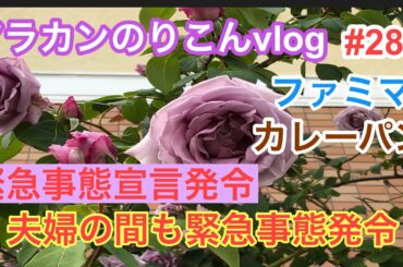 緊急事態宣言が出たらまた 夫婦の亀裂が広がるかもね。