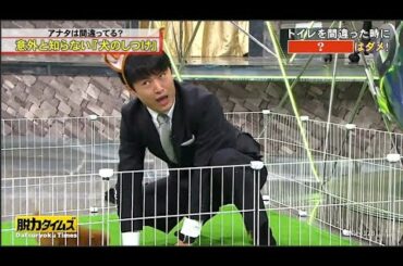 「劇団ひと&桜井日奈子」🆃🅾🅿→ 何やってんの! ダメでしょ！