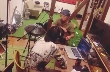 【歌ってみた】PINK BLOODー宇多田ヒカル　by Yoko Field ft. Cojicose