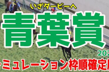2021 青葉賞 シミュレーション 枠順確定 【競馬予想】