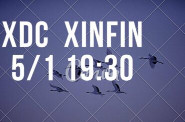 【仮想通貨】5/1 19:30 #XDC #xinfin network  support line ⁉︎ lang:JPN