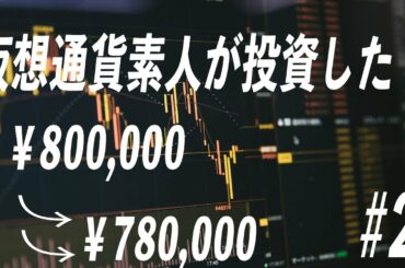 仮想通貨素人が80万円投資してみた#2【素人投資】