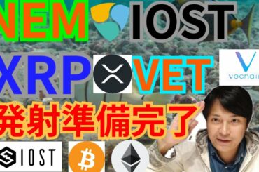 【仮想通貨BTC, ETH, XRP, NEM, IOST, VET】アイオーエス、リップル、ネム、VeChain発射準備完了🚀