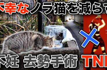 【西川貴教さんじゃない】超重要ワード「TNR」とは？【TMRじゃない】