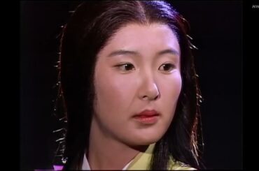 【大河ドラマアンコール】黄金の日日  「総退却」  2021年05月02日