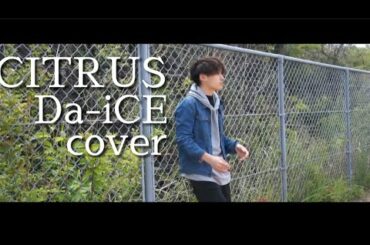 【オリジナルMV】Da-iCE / 「CITRUS」日本テレビ系日曜ドラマ「極主夫道」主題歌　cover