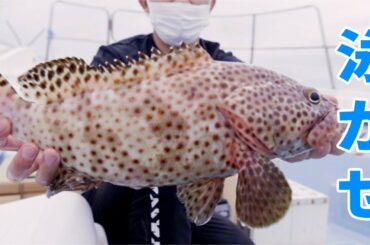 泳がせ釣り　（沖縄）