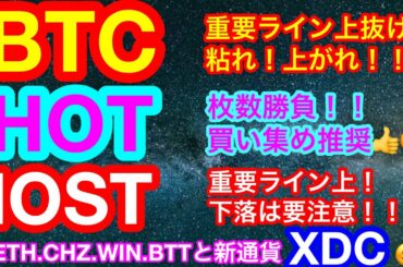 【仮想通貨 BTC.ETH.CHZ.HOT.WIN.BTT.IOST】ビットコインは上昇相場継続なるか❗️❓イーサリアムは依然強い状況😊チリーズはUFC❗️新通貨紹介は『世界貿易の救世主XDC』👍