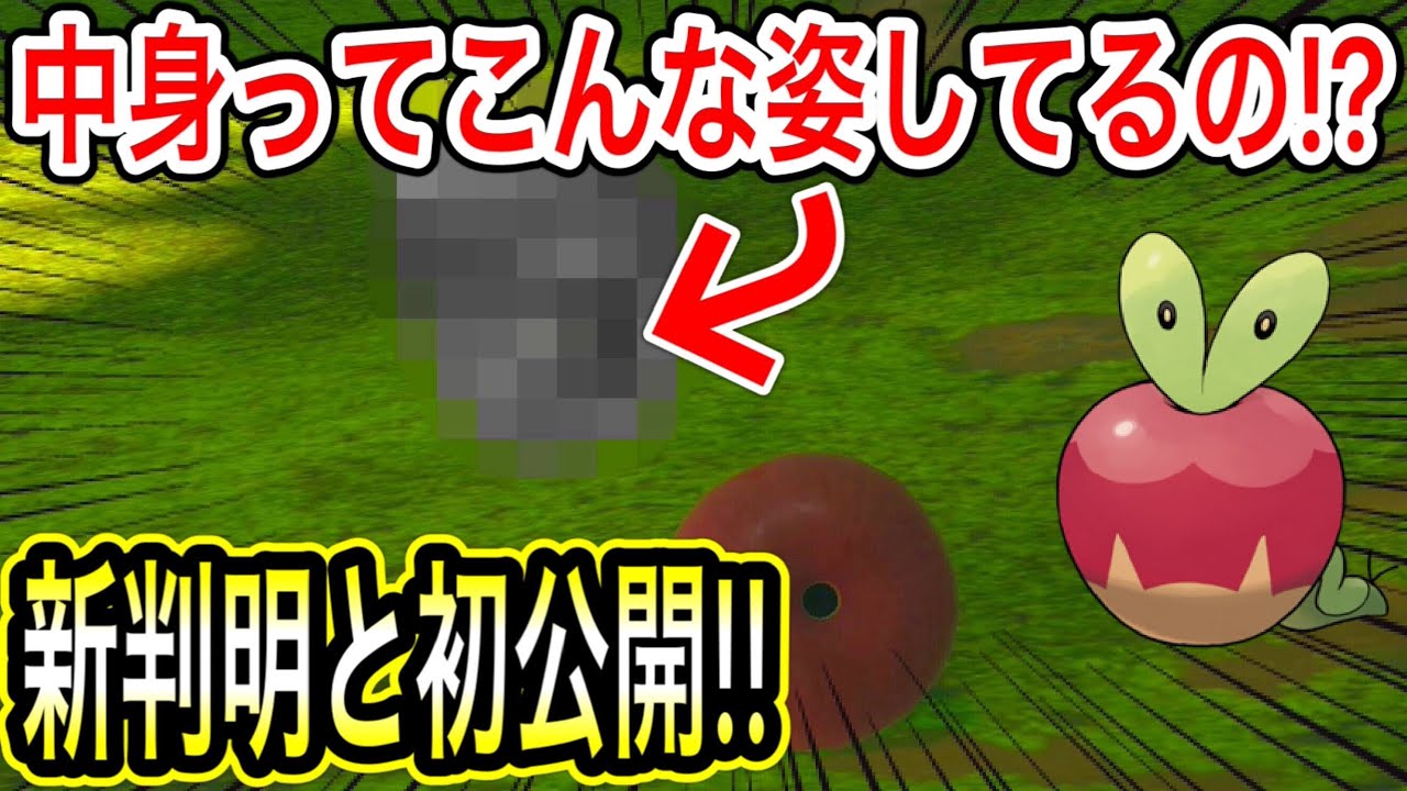 神最新情報 これでしか見れない カジッチュというポケモンの中身がついに初公開 姿に衝撃すぎたww ポケモン剣盾 Newポケモンスナップ Yayafa