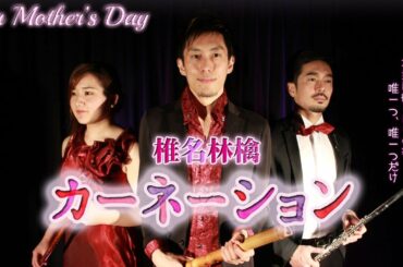 カーネーション/椎名林檎【和楽器×洋楽器】（covered by Neo Japanesque）