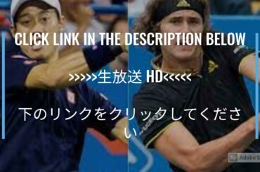 🔴【LIVE】 錦織圭 vs アレクサンダー・ズベレフ 生放送 生中継 生放送 テレビ放送 無料