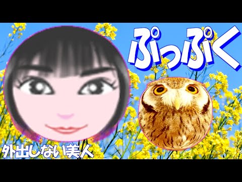 ぷっぷく 初黒星 綾瀬はるか 広瀬すず 佐々木希 北川景子 石原さとみ 新垣結衣 橋本環奈 深田恭子 白石麻衣 沢尻エリカ 芸能人 似顔絵 イラスト 絵の描き方講座 アニメーション 自主制作 Yayafa ぷっぷく 初黒星 綾瀬はるか 広瀬すず 佐々木希 北川景子 石原さとみ 新垣結衣 橋本環奈 深田恭子 白石麻衣 沢尻エリカ 芸能人 似顔絵 イラスト 絵の描き方講座 アニメーション 自主制作 Yayafa