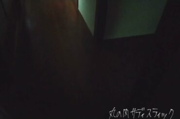 【歌ってみた】丸の内サデスティック/椎名林檎   (アカペラcover)