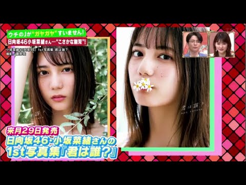 【日向坂46】日南坂46小坂菜緒さん… "こさかな無双”「サンデー・ジャポン 2021年5月9日」 【日向坂46】日南坂46小坂菜緒さん… "こさかな無双”「サンデー・ジャポン 2021年5月9日」