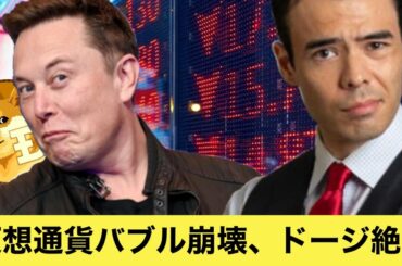 仮想通貨バブル崩壊、イーロンマスク＆ドージコイン絶望、ビットコインを買う！