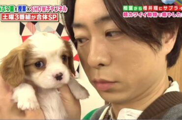 『PART 1』　 どうぶつ園授業SHOWチャンネル合体SP　2021年5月1日