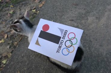 幻の東京オリンピック エンブレム のせる猫  パクリ