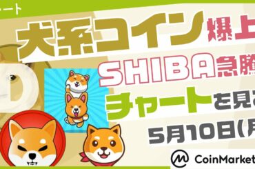 【仮想通貨】犬系コイン爆上！？SHIBA急騰【チャートを見る】【5月10日】