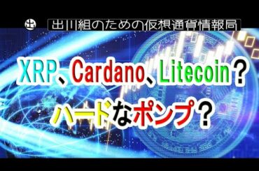 XRP、Cardano、Litecoin？このベテランアナリストは、これらのアルトのうちの1つが最もハードなポンプになると予想しています。【仮想通貨・暗号資産】