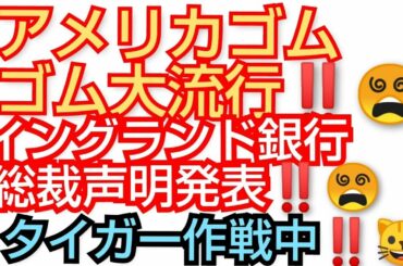 暗号通貨に警告‼️イングランド銀行総裁声明発表‼️ ゴムゴムアメリカで大流行 ‼️タイガｰ作戦中‼️😵