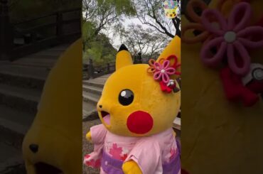 【ポケモン公式】ピカチュウのお花見#Shorts －ポケモン Kids TV