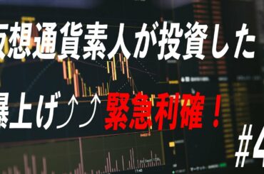 【仮想通貨】素人が80万円投資してみた【利確】