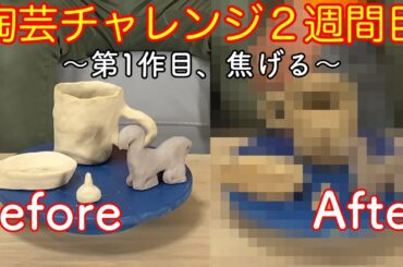 【陶芸】初心者が３ヶ月間全力で陶芸やったらどうなるか２週間目【やくも】