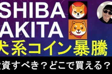 柴犬コイン SHIBA (SHIB)とAKITAが暴騰！投資すべきか？どこで買えるか？