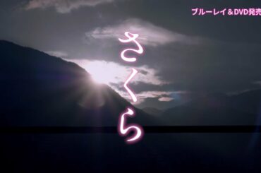 映画「さくら」Blu-ray＆DVD好評発売中！／同時レンタル・デジタル配信中！