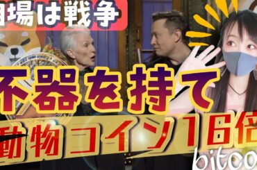 【ビットコイン,XRP,BNB,DOGE,DOT,ADA,NEO,SHIBA】動物コイン16倍！？武器を持って戦争に挑む